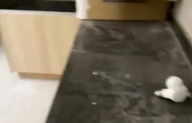 Imagem 7: Apartamento à venda de frente o mercado Reis