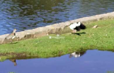 Imagem 12: TERRENO DENTRO DO CONDOMINIO QUINTA DA SERRA