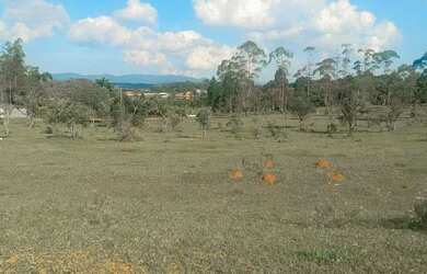 Imagem: O terreno possui 1.000m² de Área e está localizado em Ipelândia