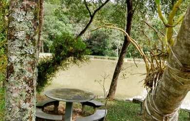 Imagem: A fazenda possui 180m² de Área e está localizado em Bragança