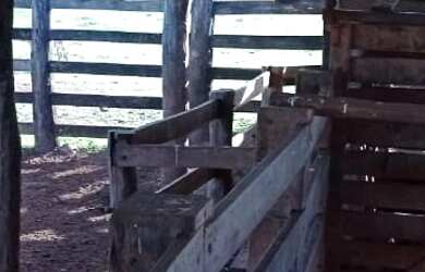 Imagem 8: Vendo fazenda em Formoso do Araguaia TO