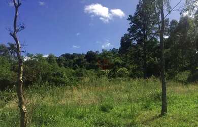 Imagem: O terreno possui 4.576m² de Área e está localizado em Gramado