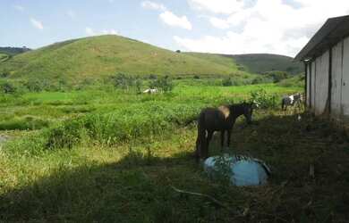 Imagem 7: Fazenda Santa Maria, município de Córrego Novo-MG