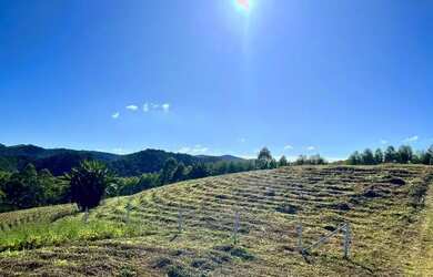 Imagem: A chácara possui 2.000m² de Área e está localizado em Santa