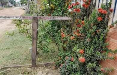 Imagem 5: Vendo terreno. 3.011m² de Área