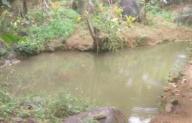 Imagem: A chácara possui 15000m² de Área e está localizado em Viana