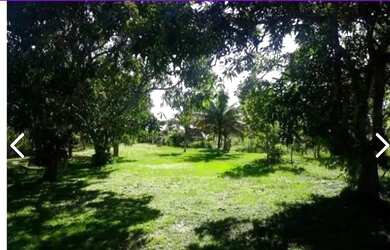 Imagem 6: Sítio Porto Velho. 500.000m² de Área