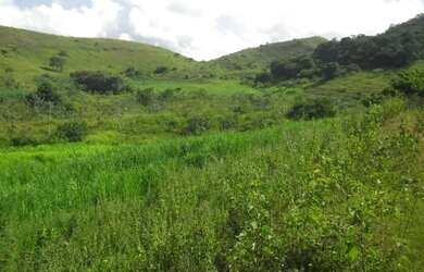 Imagem 10: Fazenda Santa Maria, município de Córrego Novo-MG
