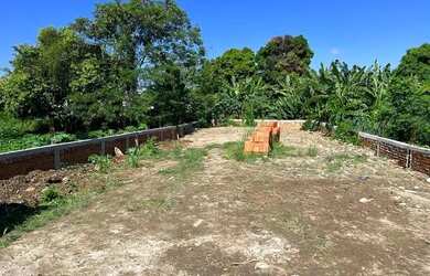 Imagem 6: Terreno perto do Mercado Adônai aluga ou vende mato alto