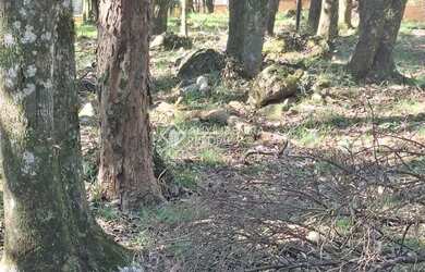 Imagem 4: Terreno em São Virgílio, Caxias do Sul