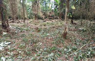 Imagem: O terreno possui 1.000m² de Área e está localizado em Boiçucanga