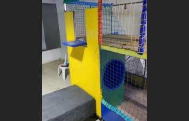 Imagem: O quarto e está localizado em Caimbé, Boa Vista para alugar