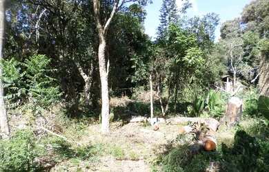 Imagem 3: Residential / Land Lot-Porto Alegre-Lomba do Pinheiro