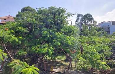 Imagem: O apartamento possui 3 Dormitórios, 3 Banheiros, 2 Vagas na