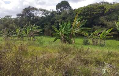 Imagem 9: Sitio à venda. 