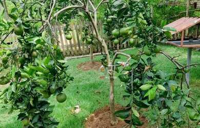 Imagem 16: Excelente Casa 4 dormitórios, 7 vagas - Village do Sol - Guarapari/ES