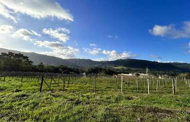 Imagem 6: Sitio - Bairro Tapera. 70.000m² de Área