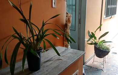 Imagem 5: Aluga casa mobiliada em Pirituba SP