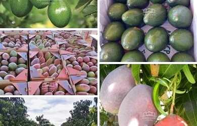 Imagem: A fazenda e está localizado em Jaíba, MG à venda por R$10.700.000