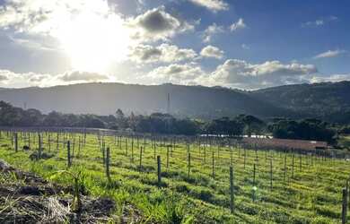 Imagem 5: Sitio - Bairro Tapera. 70.000m² de Área