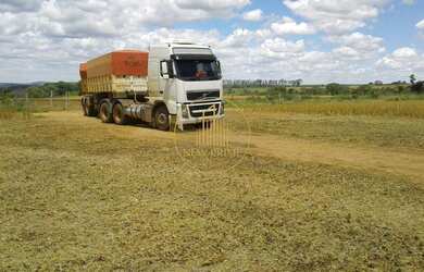Imagem 8: Fazenda à Venda Unaí/MG 472 ha