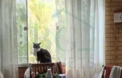 Imagem 5: Casas Padrão em Poços de Caldas