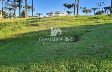 Imagem 5: TERRENO A VENDA EM CONDOMÍNIO FECHADO