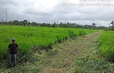 Imagem 9: Fazenda. 75.000m² de Área
