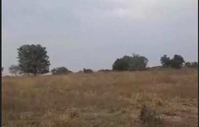 Imagem 9: Vendo fazenda em Formoso do Araguaia TO