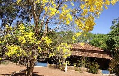 Imagem 8: Fazenda em Abreulândia-TO
