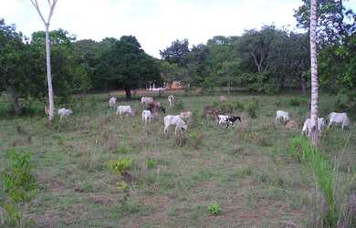 Imagem 3: Fazenda em Abreulândia-TO