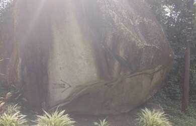 Imagem 11: Lote/Terreno para venda tem 846 metros Limoeiro Guapimirim - RJ