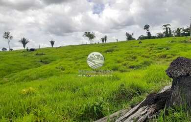 Imagem: A fazenda possui 722000m² de Área e está localizado em Buritis