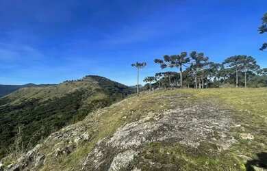 Imagem 2: Terreno 20.000 m² em Urubici