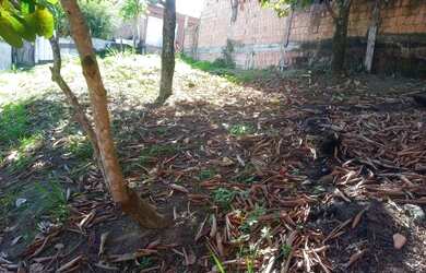 Imagem 4: Venda de terreno. 