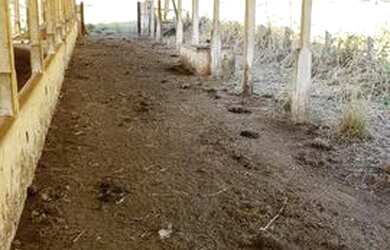 Imagem 4: Sitinho em Neves Paulista de 2.9 alq 950mil aceita troca