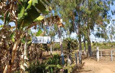 Imagem: A fazenda possui 1.300m² de Área e está localizado em Abadia