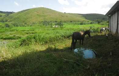 Imagem 9: Fazenda Santa Maria, município de Córrego Novo-MG