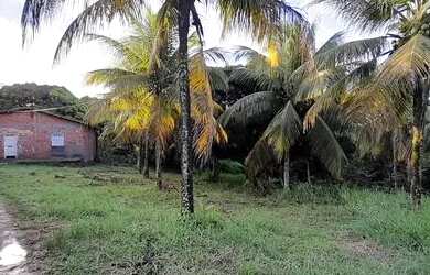 Imagem: O terreno possui 5.600m² de Área e está localizado em Vila