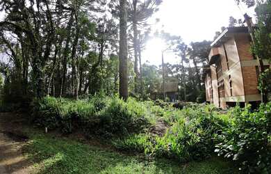 Imagem 5: Terreno - Bairro Planalto