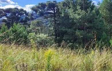 Imagem 2: Terreno à Venda em Gramado no Loteamento Marsal