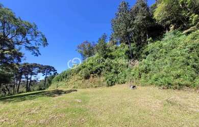 Imagem 6: AREA DE TERRAS COM VISTA DA MONTANHA