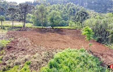 Imagem 2: Sítio / Chácara para Venda em Nova Petrópolis, Linha Brasil Fundos
