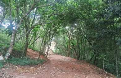 Imagem 1: LOTES LINDOS- Oportunidade Única para venda possui 500 metros quadrados em Lageadinho - I