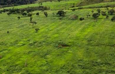 Imagem: A fazenda possui 1.936.000m² de Área, Imóvel novo e está