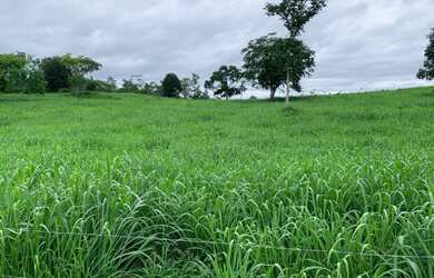 Imagem: A fazenda possui 500.000m² de Área e está localizado em