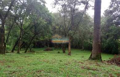 Imagem: O terreno possui 3.000m² de Área e está localizado em Butiatuvinha