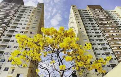 Imagem: O apartamento possui 2 Dormitórios, 1 Banheiro, 1 Vaga na garagem