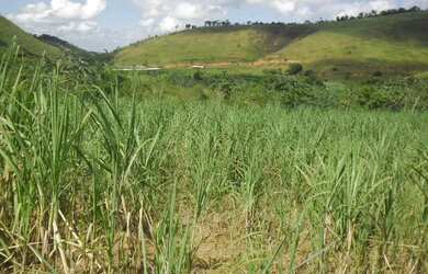 Imagem 12: Fazenda Santa Maria, município de Córrego Novo-MG