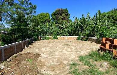 Imagem 4: Terreno perto do Mercado Adônai aluga ou vende mato alto